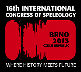 BRNO2013logobrno